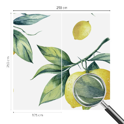 Fototapetas flizelino pagrindu Citronmotyvas