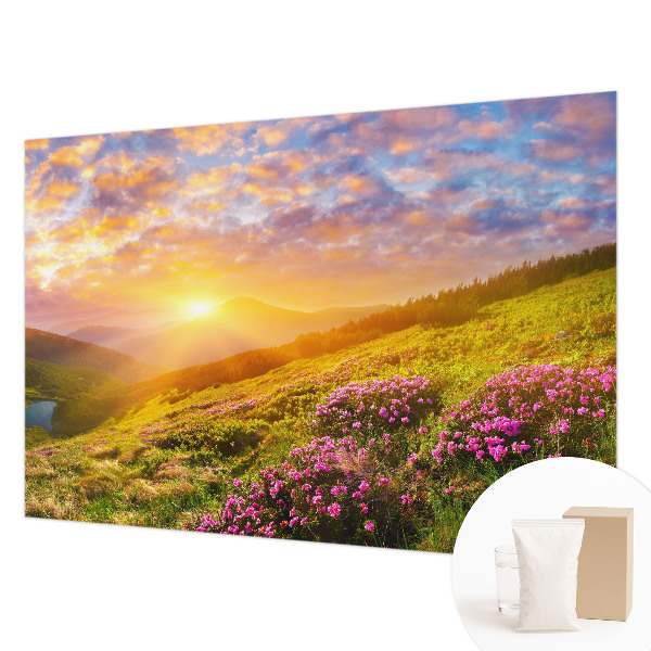 Plaunamas flizelininis fototapetas Bjergvestas