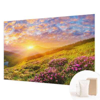 Plaunamas flizelininis fototapetas Bjergvestas