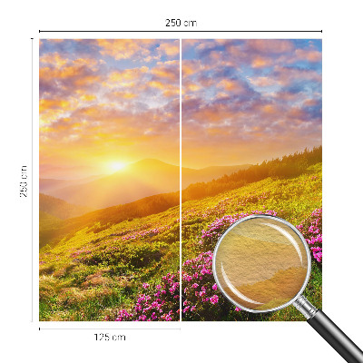 Plaunamas flizelininis fototapetas su Bjergvesto motyvu