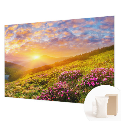 Plaunamas flizelininis fototapetas Bjergvestas