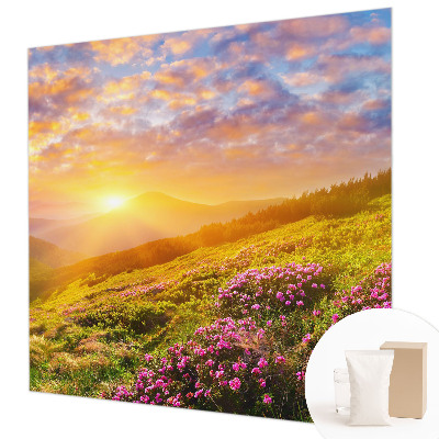 Plaunamas flizelininis fototapetas Bjergvestas