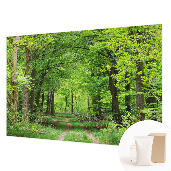 Fototapetas ant sienos Skovsti