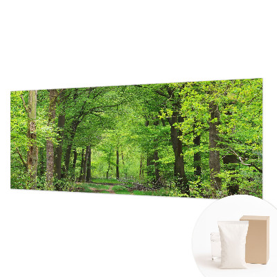 Fototapetas ant sienos Skovsti