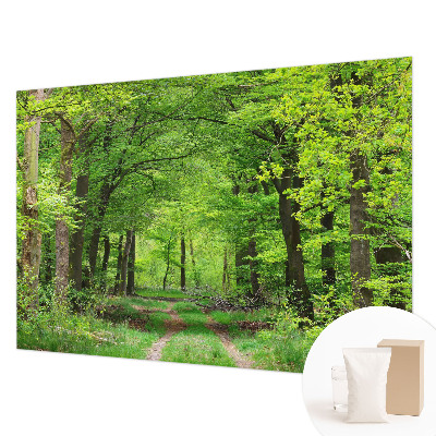 Fototapetas ant sienos Skovsti