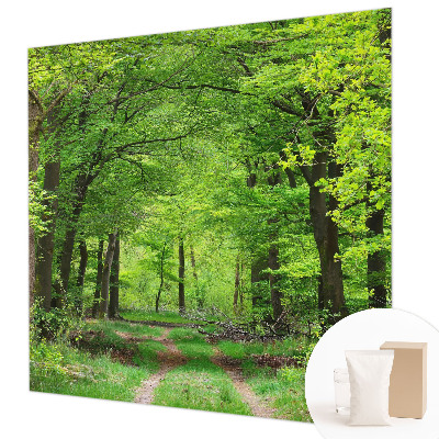 Fototapetas ant sienos Skovsti