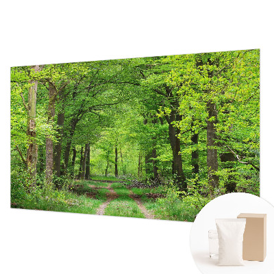 Fototapetas ant sienos Skovsti