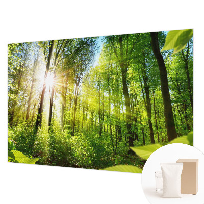 Fototapetas pagal užsakymą Skovlys