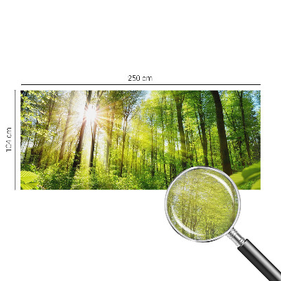 Fototapetas pagal užsakymą Skovlys