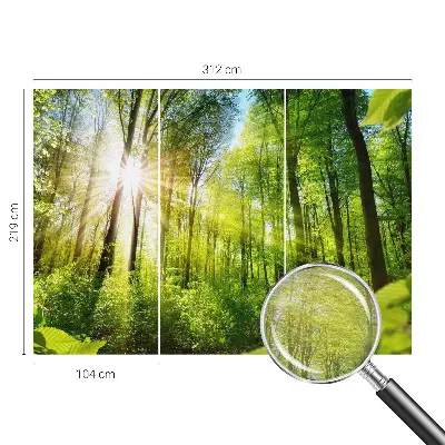 Fototapetas pagal užsakymą su skovlyso motyvu