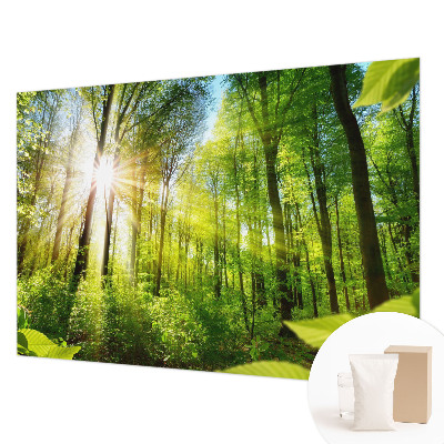 Fototapetas pagal užsakymą Skovlys