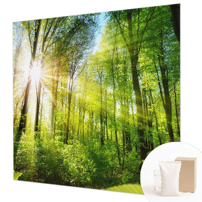 Fototapetas pagal užsakymą Skovlys