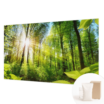 Fototapetas pagal užsakymą Skovlys