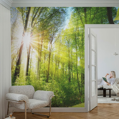 Fototapetas pagal užsakymą Skovlys