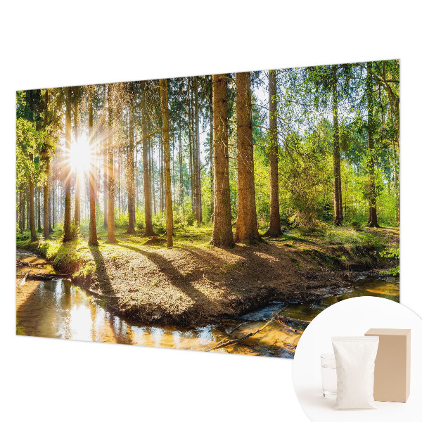 Fototapetas svetainei Skovidyl