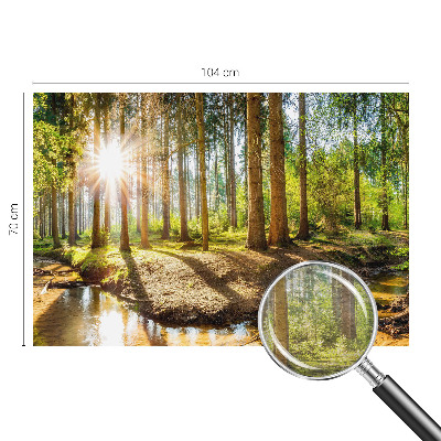 Fototapetas svetainei Skovidyl