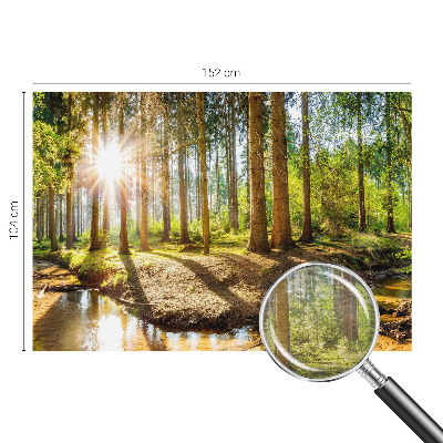 Fototapetas svetainei Skovidyl