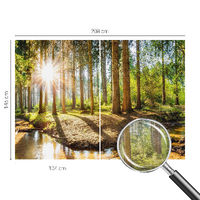 Fototapetas svetainei Skovidyl