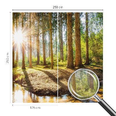 Fototapetas svetainei Skovidyl