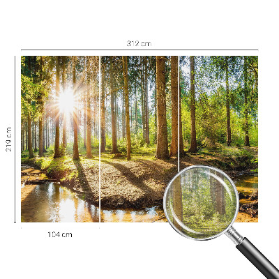 Fototapetas svetainei Skovidyl