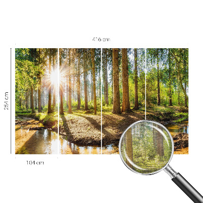 Fototapetas svetainei Skovidyl