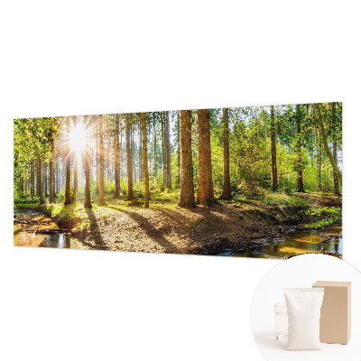 Fototapetas svetainei Skovidyl