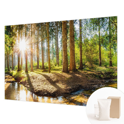 Fototapetas svetainei Skovidyl