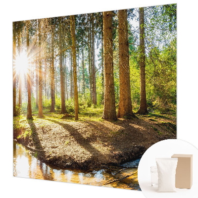 Fototapetas svetainei Skovidyl