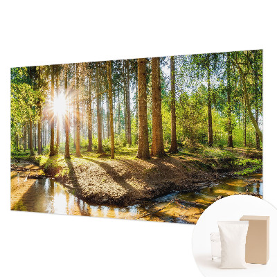 Fototapetas svetainei Skovidyl