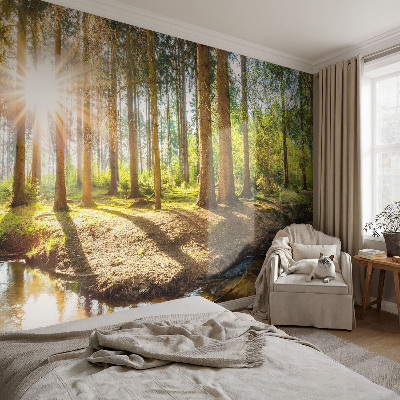 Fototapetas svetainei Skovidyl