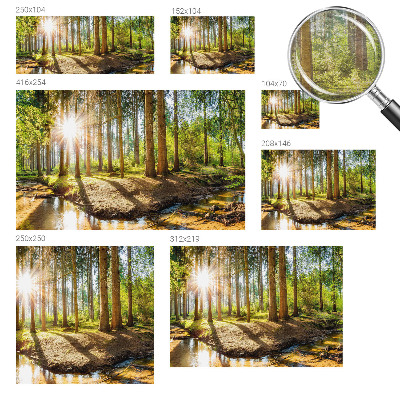 Fototapetas svetainei Skovidyl