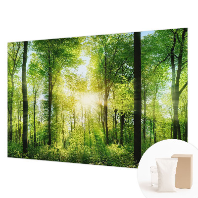 Aukštos kokybės fototapetas Skovharmoni