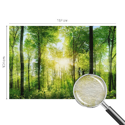 Aukštos kokybės fototapetas Skovharmoni