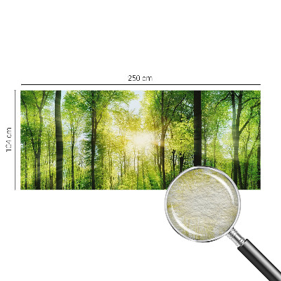 Aukštos kokybės fototapetas Skovharmoni