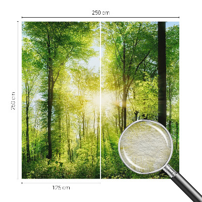 Aukštos kokybės fototapetas su dizainu „Skovharmoni“