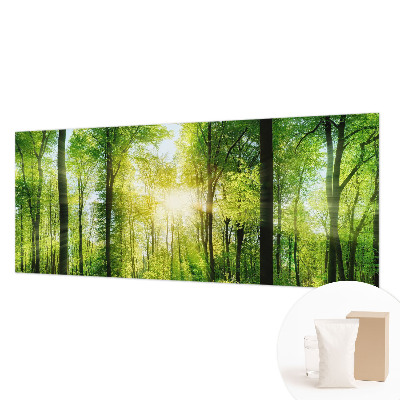 Aukštos kokybės fototapetas Skovharmoni