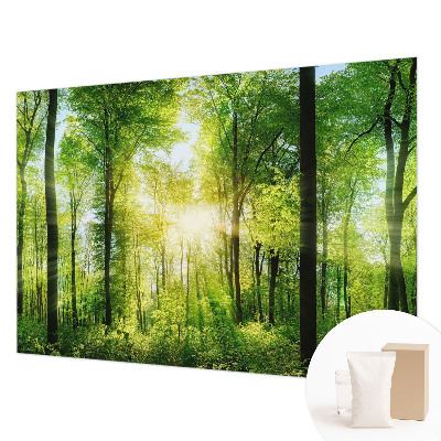 Aukštos kokybės fototapetas Skovharmoni