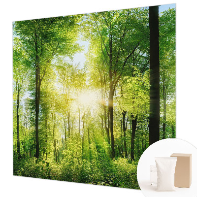 Aukštos kokybės fototapetas Skovharmoni