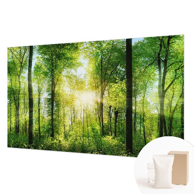 Aukštos kokybės fototapetas Skovharmoni