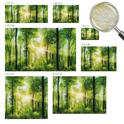 Aukštos kokybės fototapetas Skovharmoni