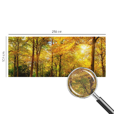 Stilingas fototapetas Gildne blyški