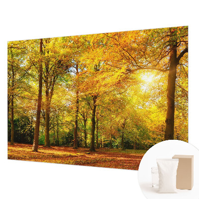 Stilingas fototapetas Gildne blyški