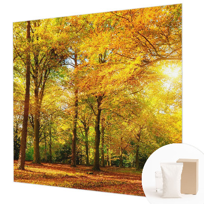 Stilingas fototapetas Gildne blyški