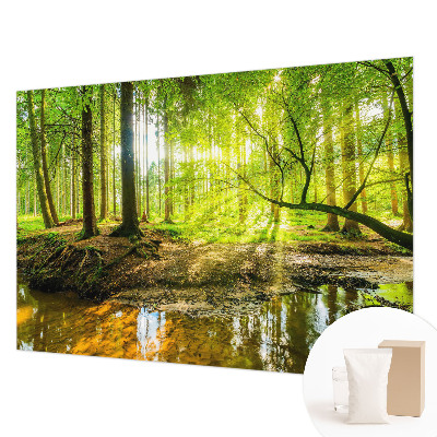 Fototapetas Grønt landskab