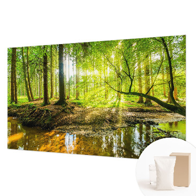 Fototapetas Grønt landskab