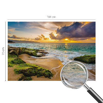 Tapetas Jūrinė harmonika