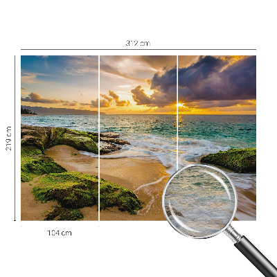 Tapetas Jūrinė harmonika