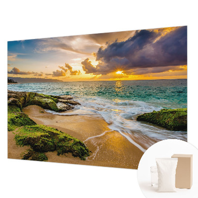 Tapetas Jūrinė harmonika