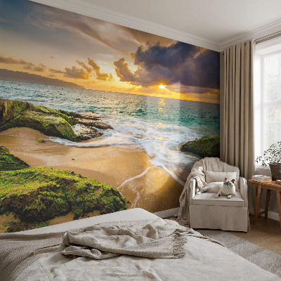 Tapetas Jūrinė harmonika