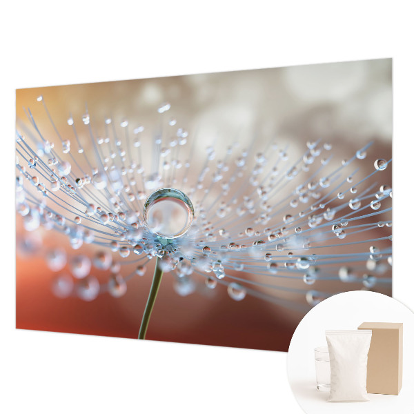 Dekoratyvinis fototapetas En dråbe on en mælkebøtt